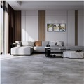 Gạch ốp lát Eurotile Đăng Sơn DAS Q01